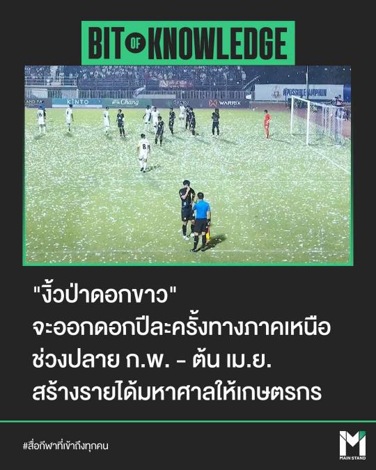 1315.jpg