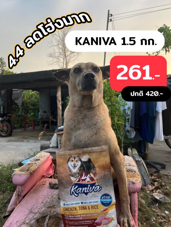 900.jpg